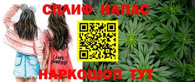 сатива Владимир