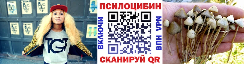 Галлюциногенные грибы ЛСД  нарко площадка Telegram  Мегион 