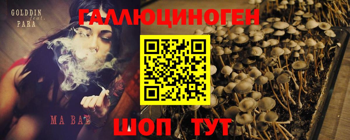 Галлюциногенные грибы мицелий Мегион