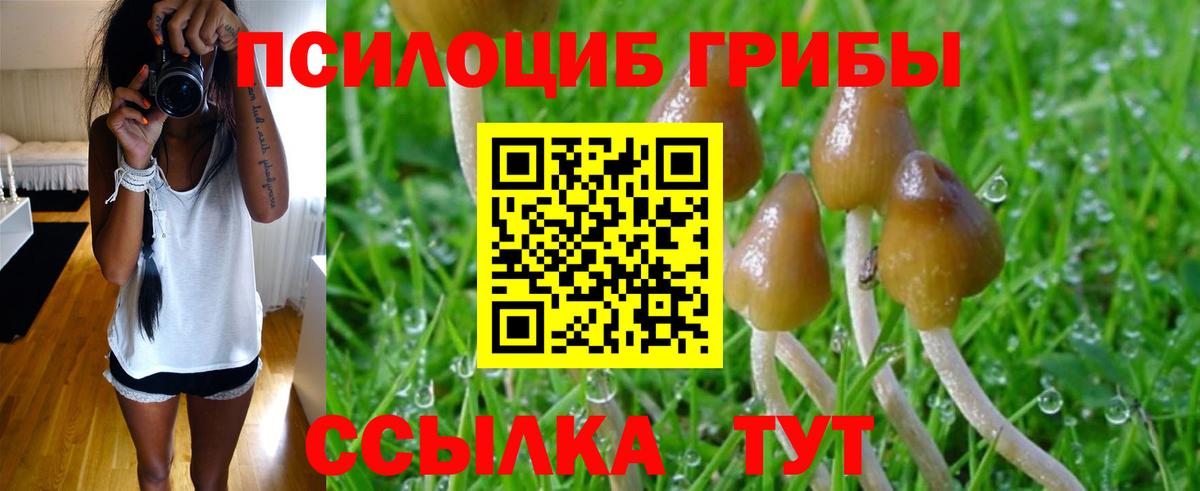Мегион  Псилоцибиновые грибы MAGIC MUSHROOMS  Вход с VPN 